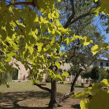 Casa Per La Pace Panzió 3*