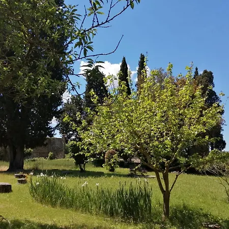 Casa Per La Pace Nocleg ze śniadaniem